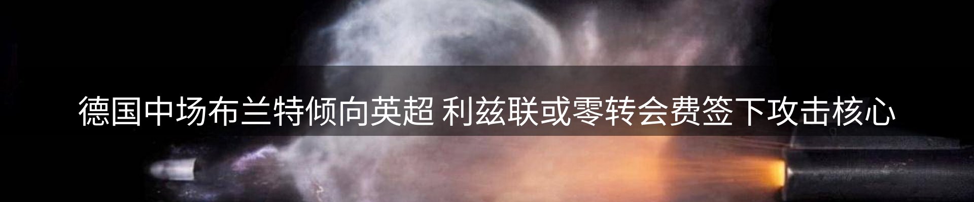新闻动态