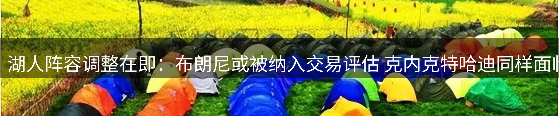 新闻动态