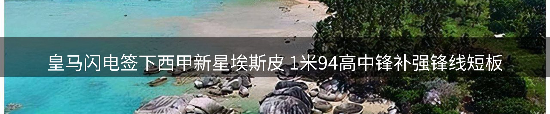 新闻动态