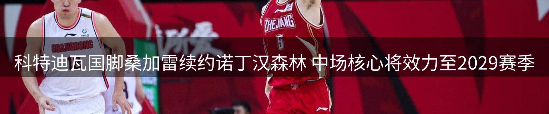 新闻动态