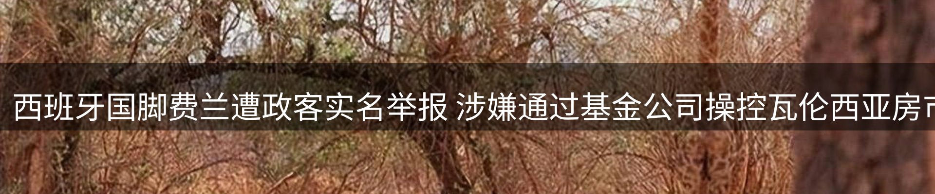 新闻动态