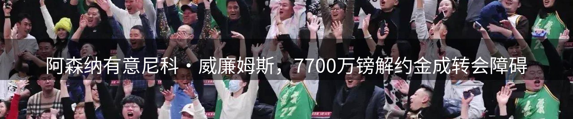 新闻动态
