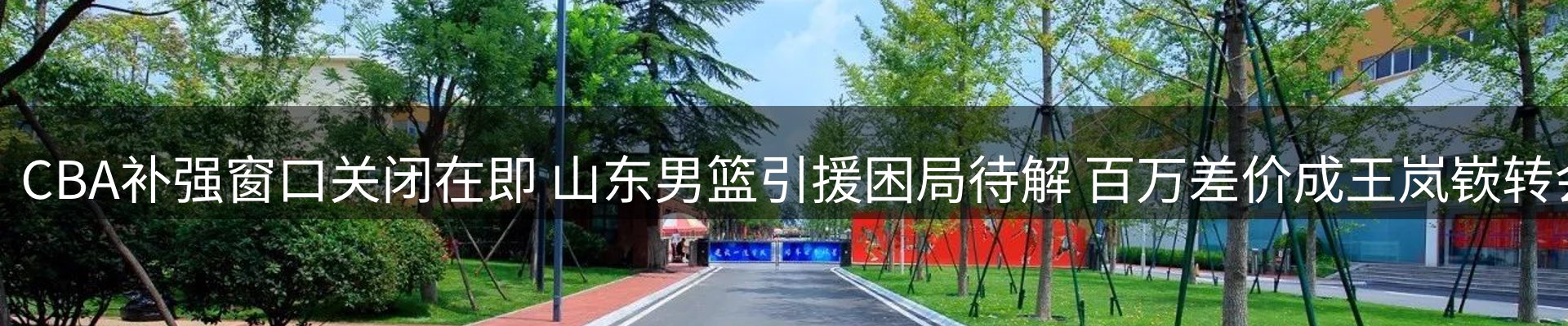 新闻动态